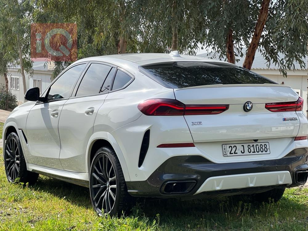 BMW X6